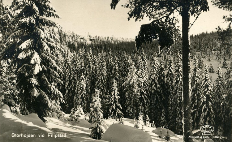 Storhöjden vid Filipstad 1944