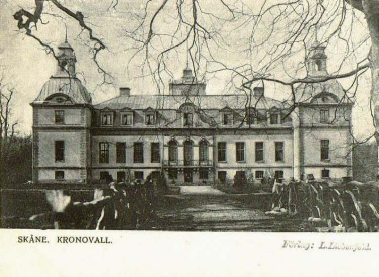 Kronovall Slott