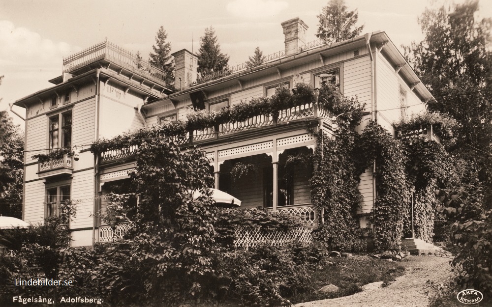 Fågelsång, Adolfsberg1937