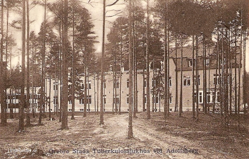 Örebro Stads Tuberkulossjukhus vid Adolfsberg