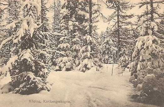 Köping Karlbergsskogen