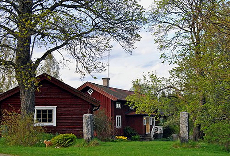 Mellan träden i Skåne