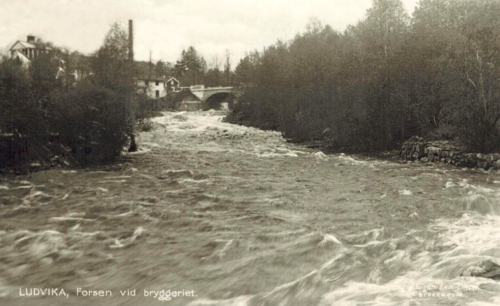 Ludvika, Forsen vid Bryggeriet