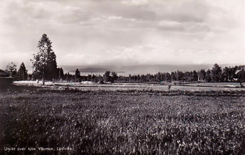 Ludvika, Utsikt över sjön, Väsman