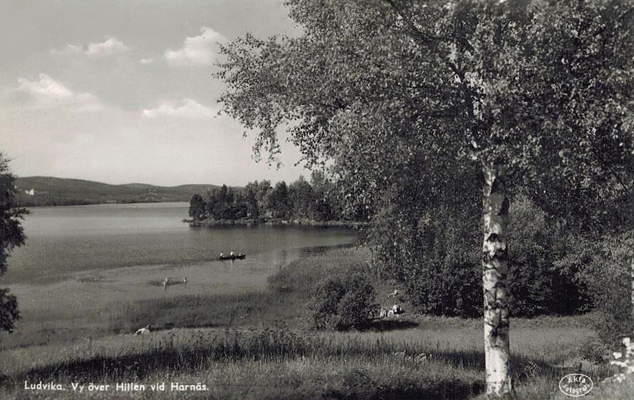 Ludvika, Vy över Hillen vid Harnäs