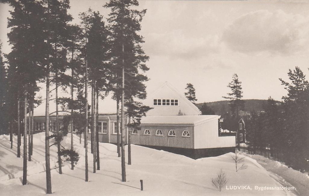 Ludvika, Bygdesanatorium