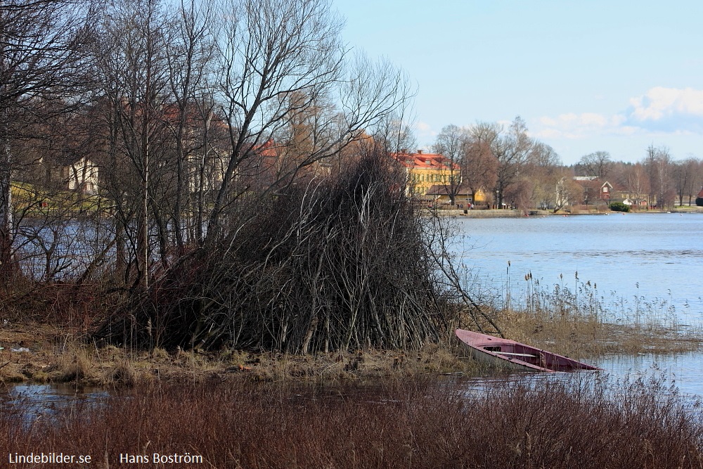 Majbrasa på Lilla Trallingen