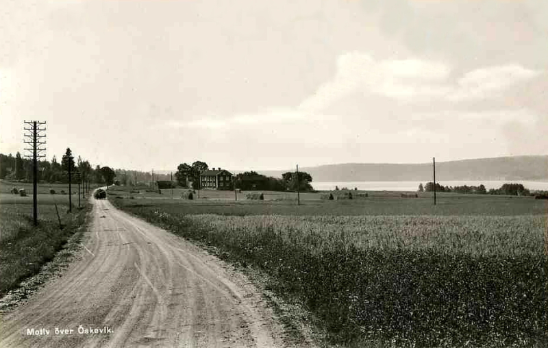 Motiv över Öskevik 1953