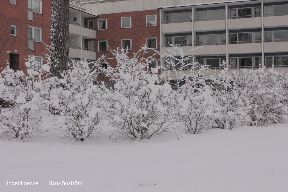 Snöfall på Skinnarbacken