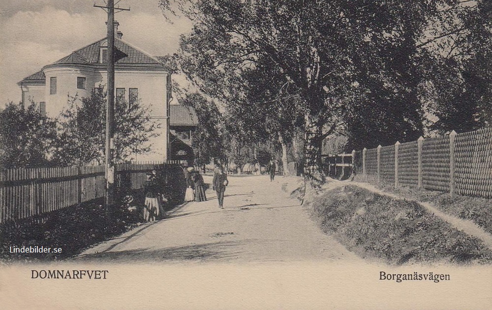 Domnarfvet, Borganäsvägen