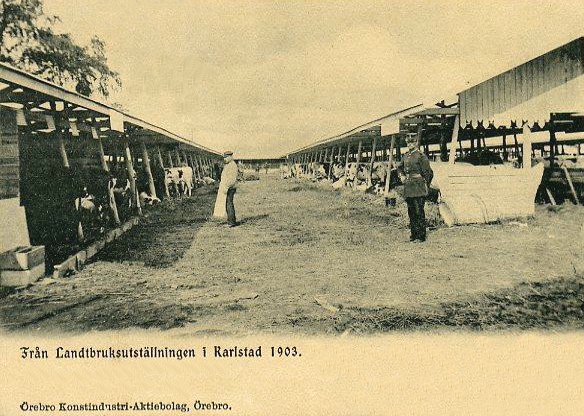 Karlstad, Från Landtbruksutställningen 1903