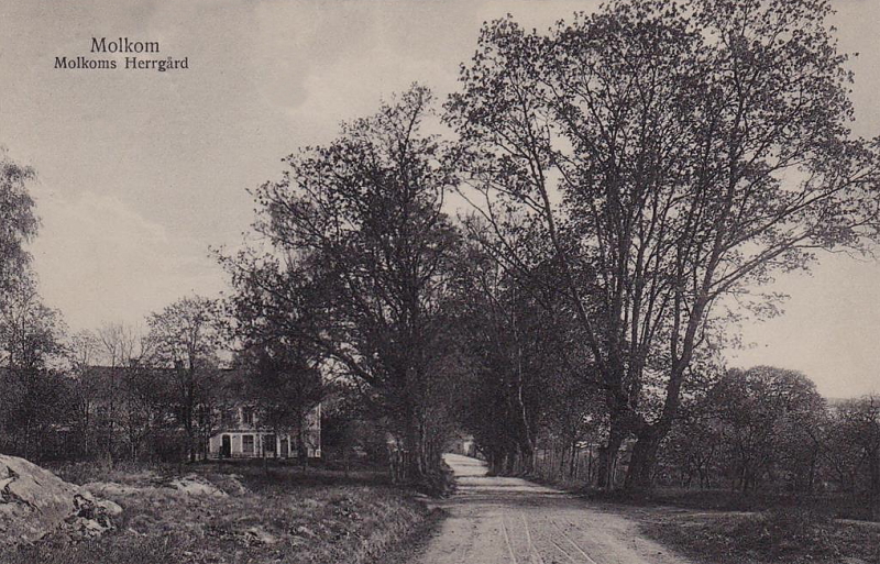 Karlstad, Molkom, Molkoms Herrgård 1915