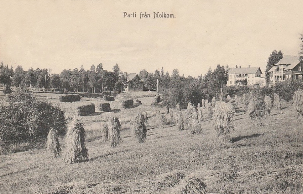 Karlstad, Parti från Molkom 1914