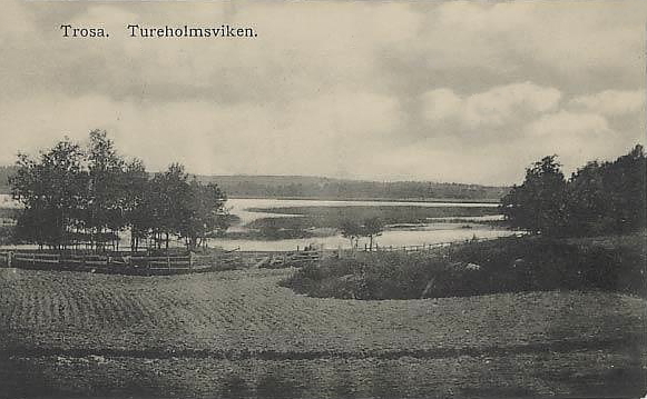 Trosa Turesholmsviken