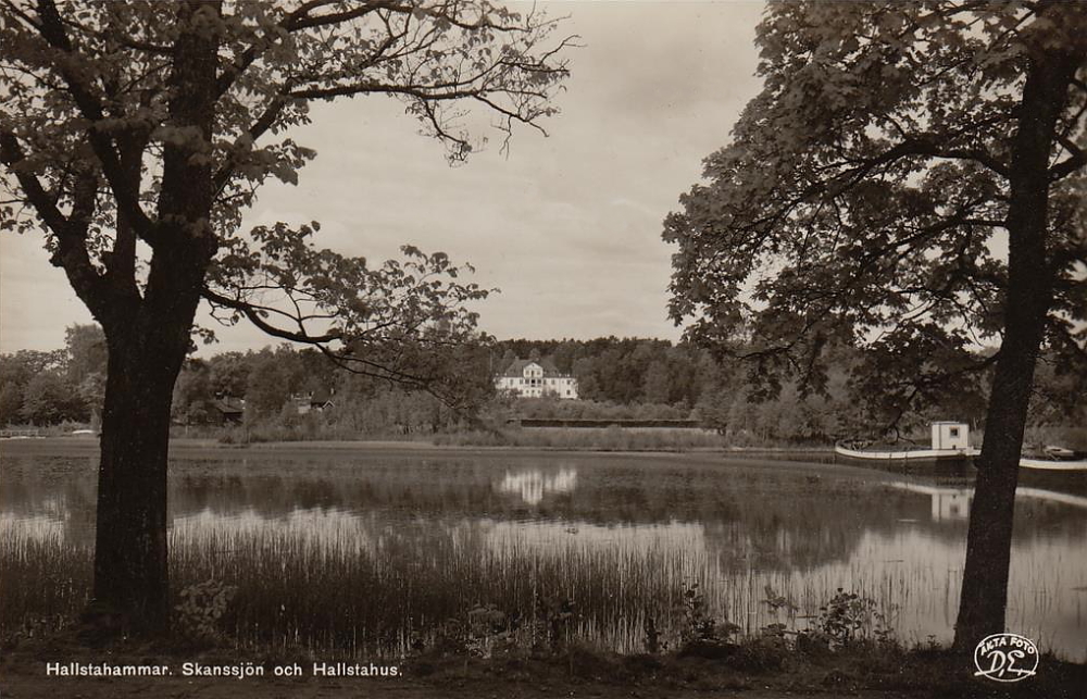 Hallstahammar, Skanssjïön och Hallstahus