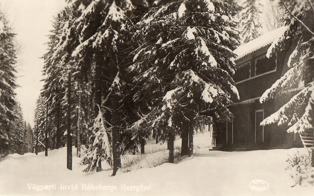 Ludvika, Vägparti invid Håksbergs Herrgård