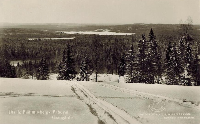 Ludvika, Utsikt från Fjällmusbergs Fäbovall, Grangärde