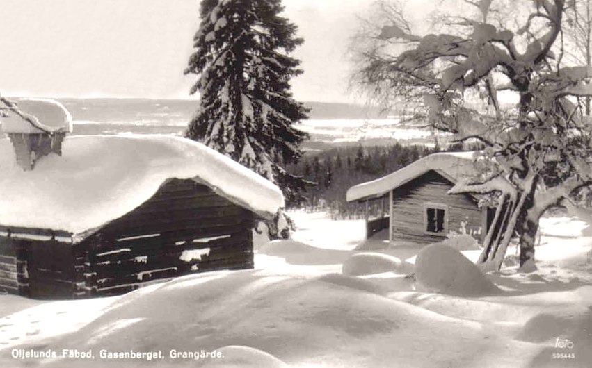 Ludvika, Oljelunds Fäbod, Gasenberget, Grangärde