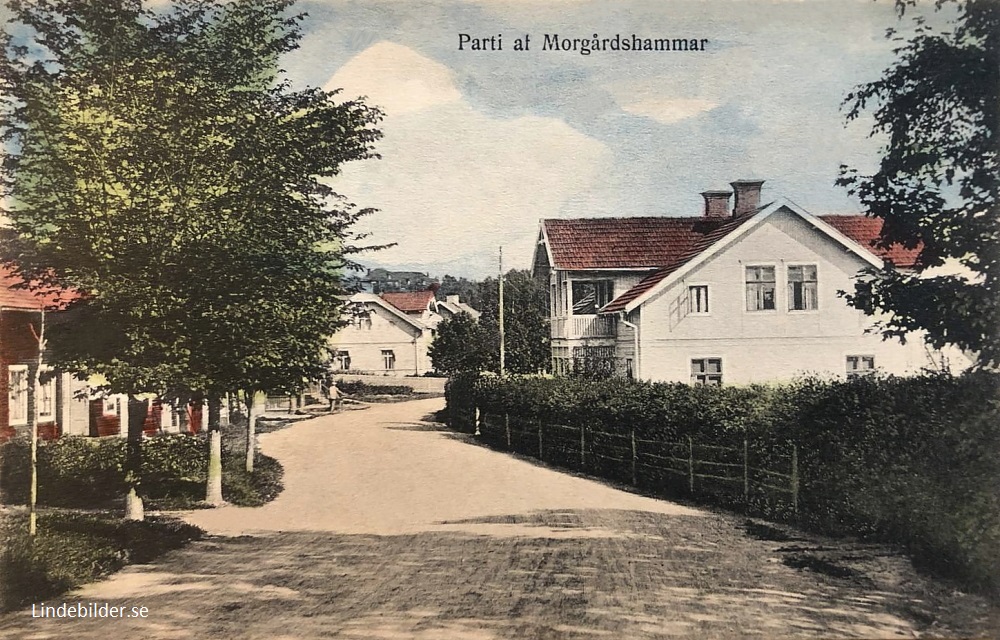 Parti af Morgårdshammar