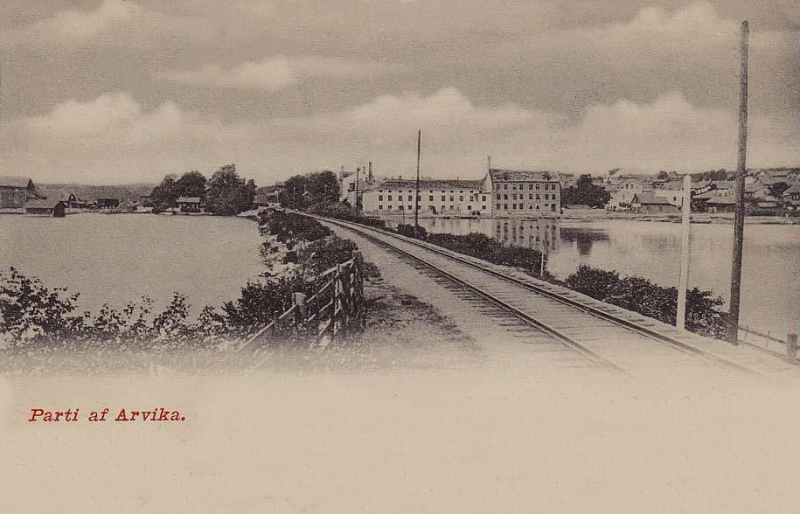 Parti af Arvika 1902