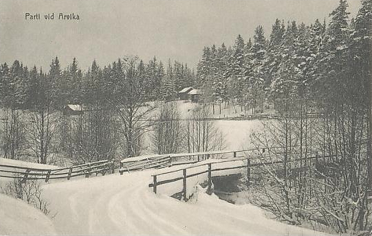 Parti vid Arvika