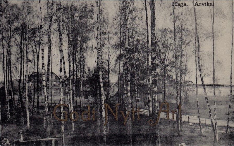 Arvika Haga 1903, Godt Nytt År