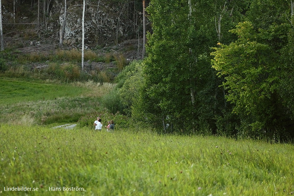 hmm  är det deras sommarstugor..