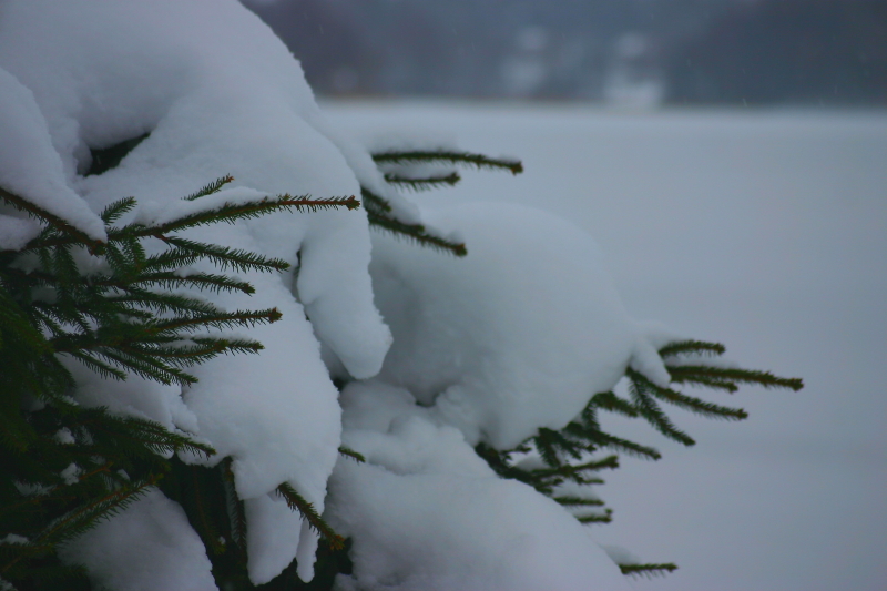 Snö