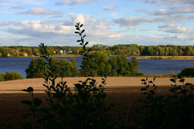 Åker mot Lindasjön