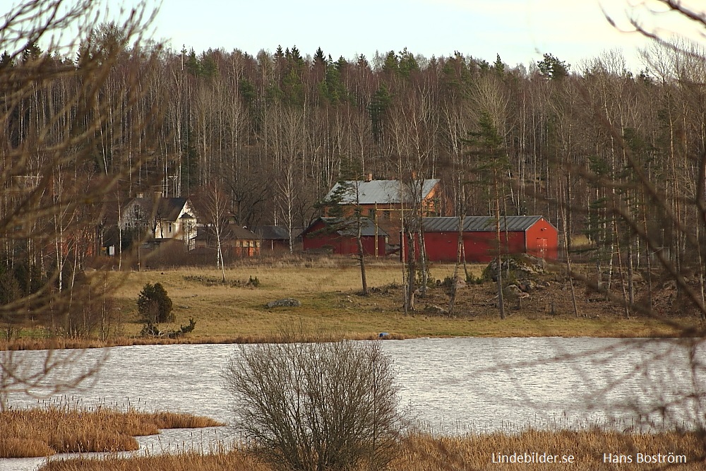 Rakt över sjön