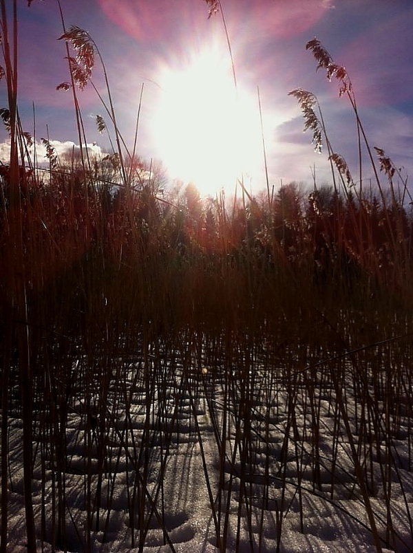 Solstrålar