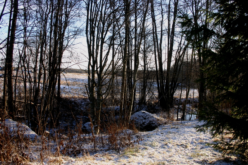 Åkern