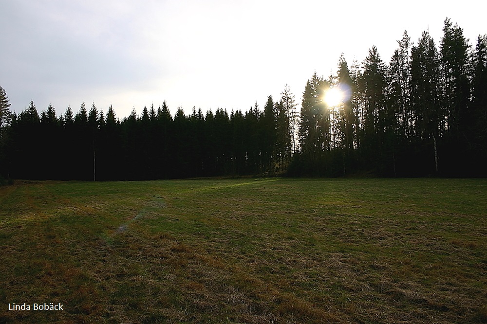 Solen tittar fram på Idrottsplatsen