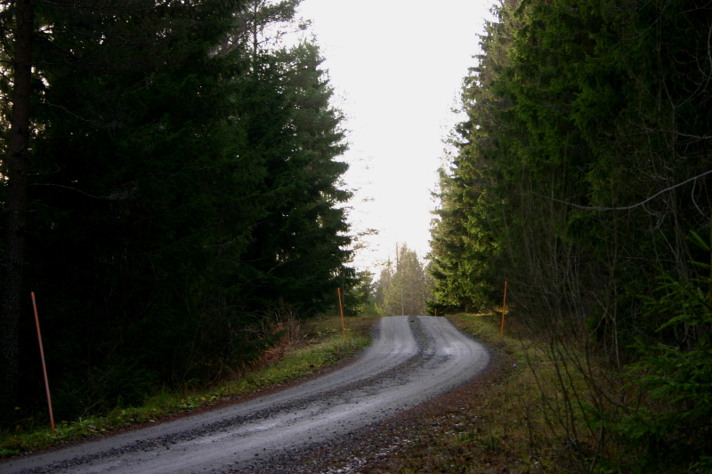 Vägen i Sällinge