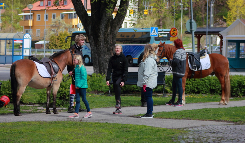 Såhär ska man göra