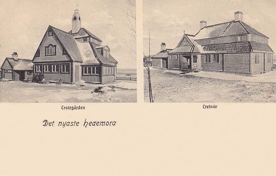 Det nyaste Hedemora 1904