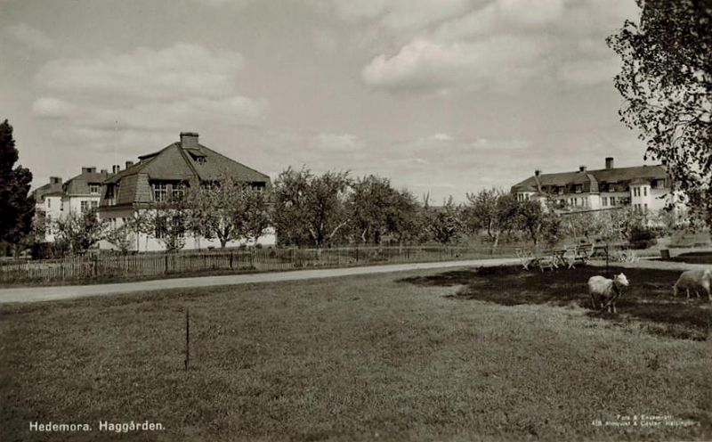 Hedemora, Haggården