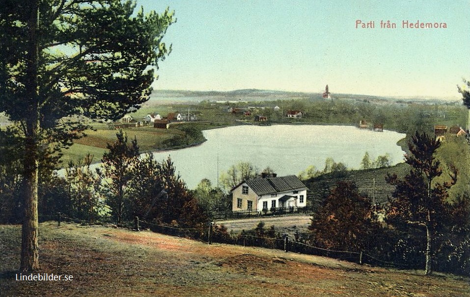 Parti från Hedemora