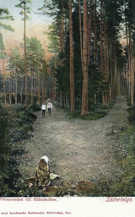 Promenaden mot Hälsokullen, Södertelge