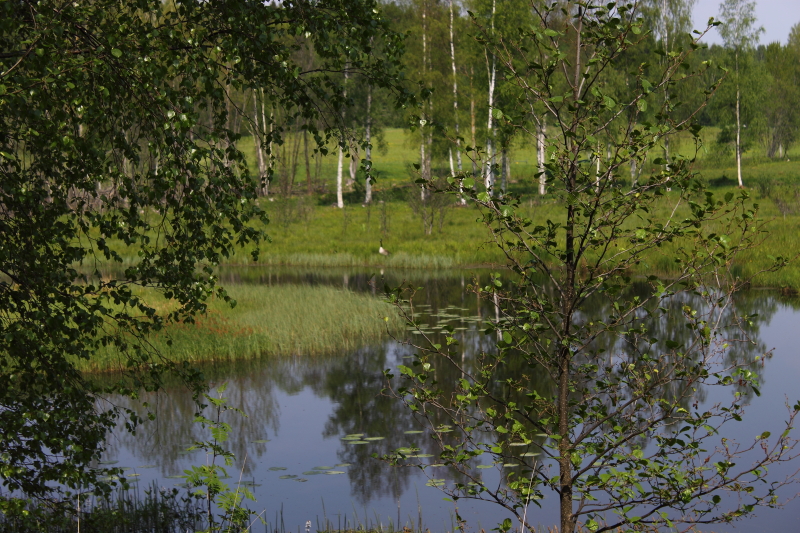 Ån mot Lindesjön