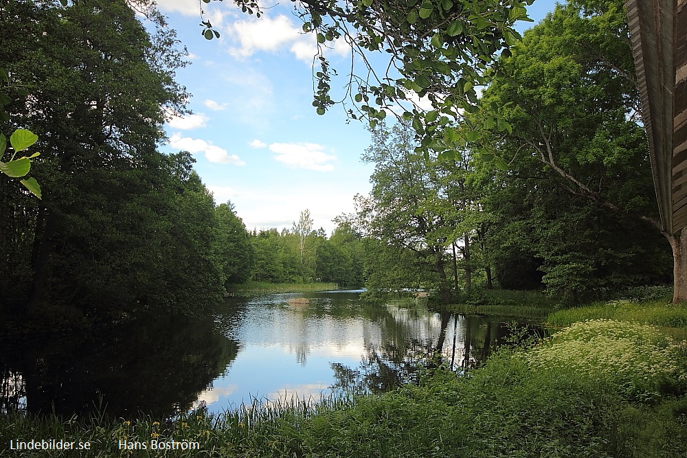 Vedevågs Ån