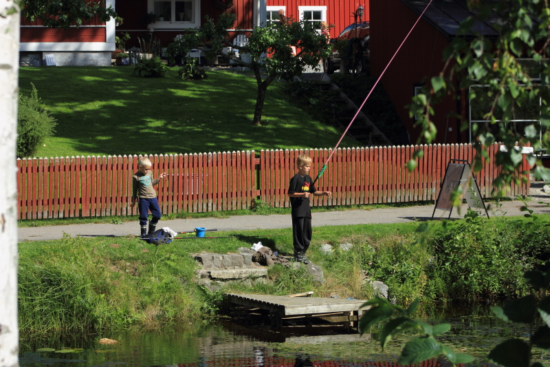 Bottenåns fiske