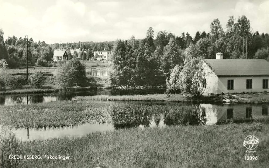 Ludvika, Fredriksberg. Fiskodlingen