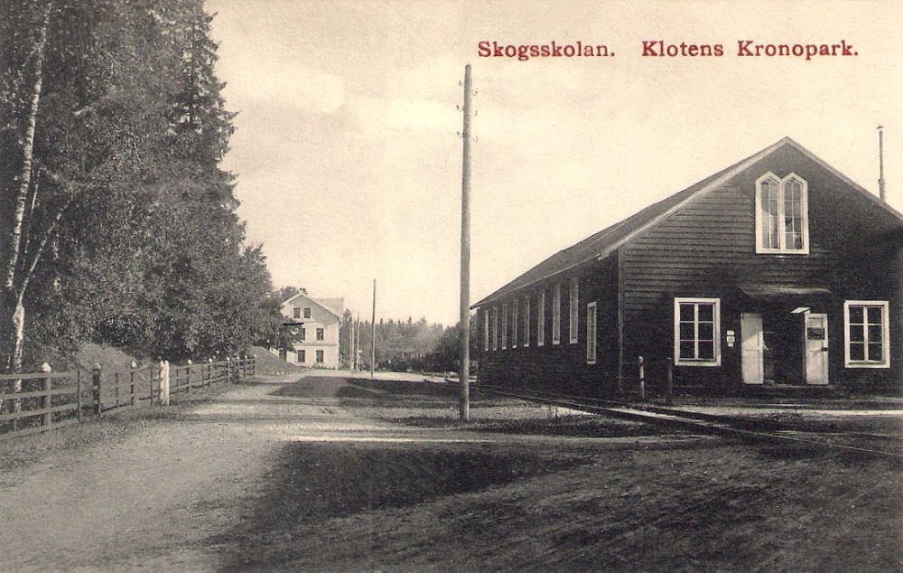 Skogsskolan. Klotens Kronopark 1910