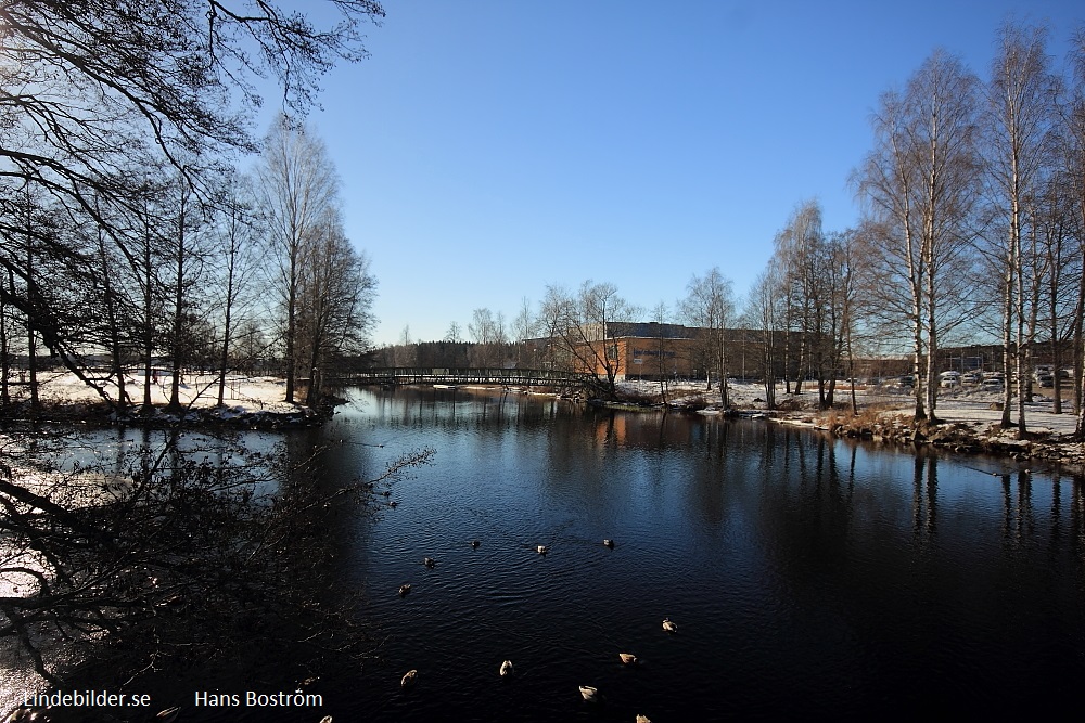 Arenahallen