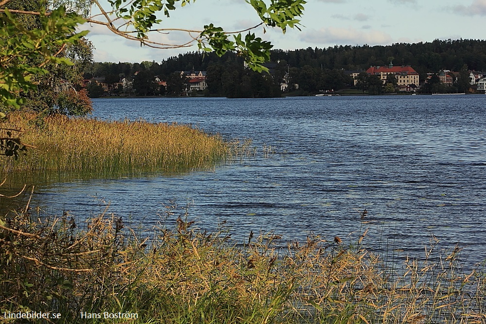 Vass vid Näset