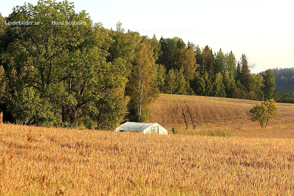 Torphyttetältet på fältet