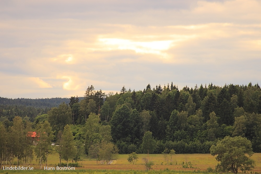 Torphyttehållet