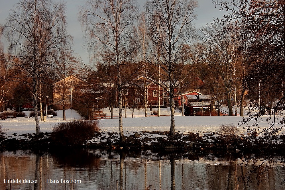 Linden i Bakgrunden