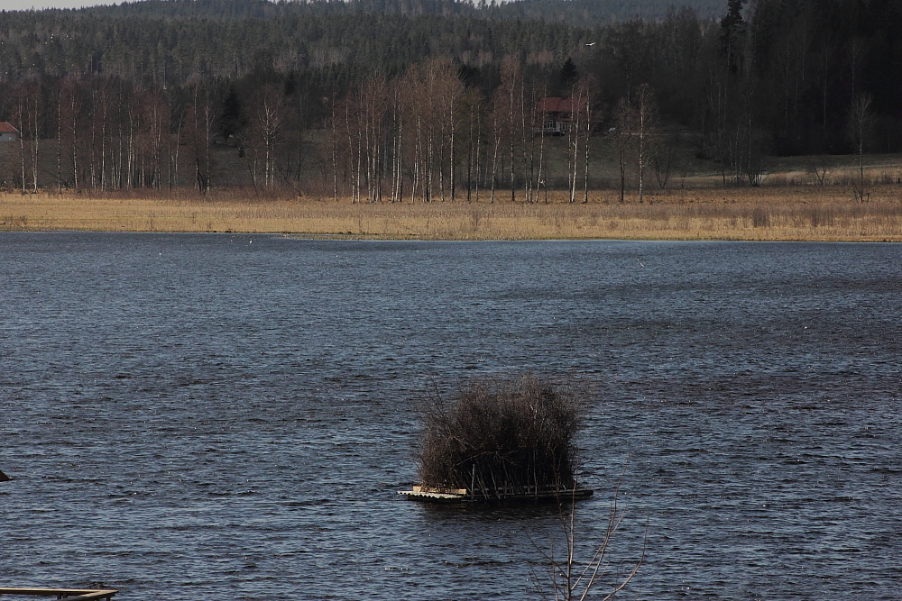 Flotten väntar på Brasan